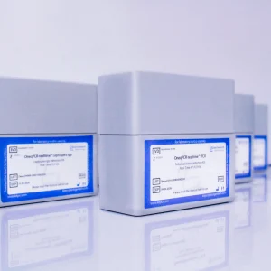 Actinobacillus actinomycetemcomitans